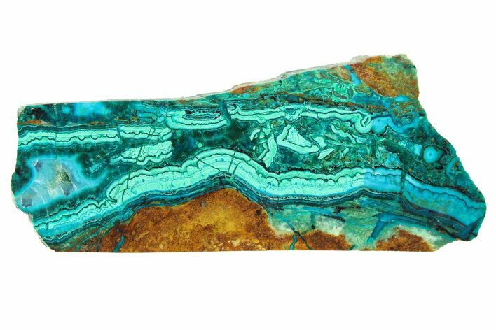 Polished Banded Chrysocolla and Malachite - Bagdad Mine, Arizona #298419